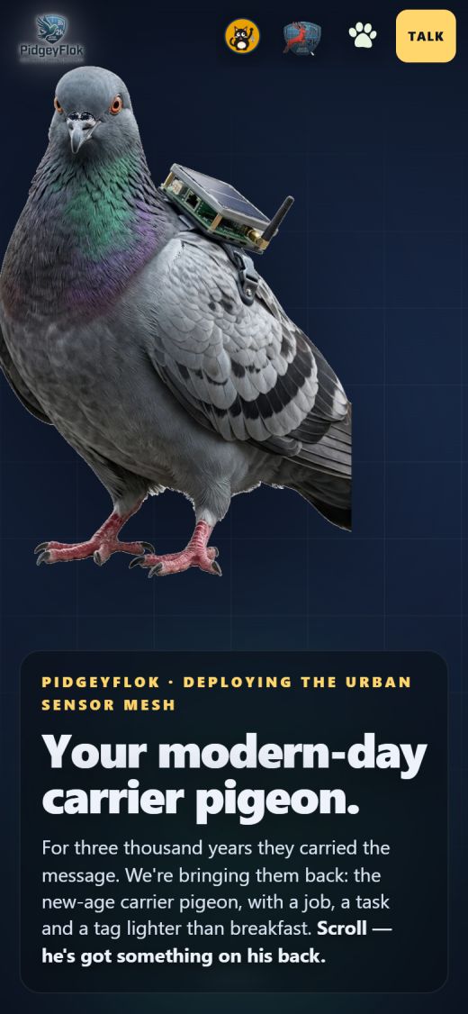 PidgeyFlok website on a phone